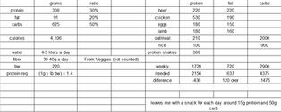 Designing A Food Plan