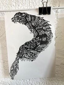 IMG_4411.jpeg