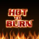 Hot to burn casino game logo