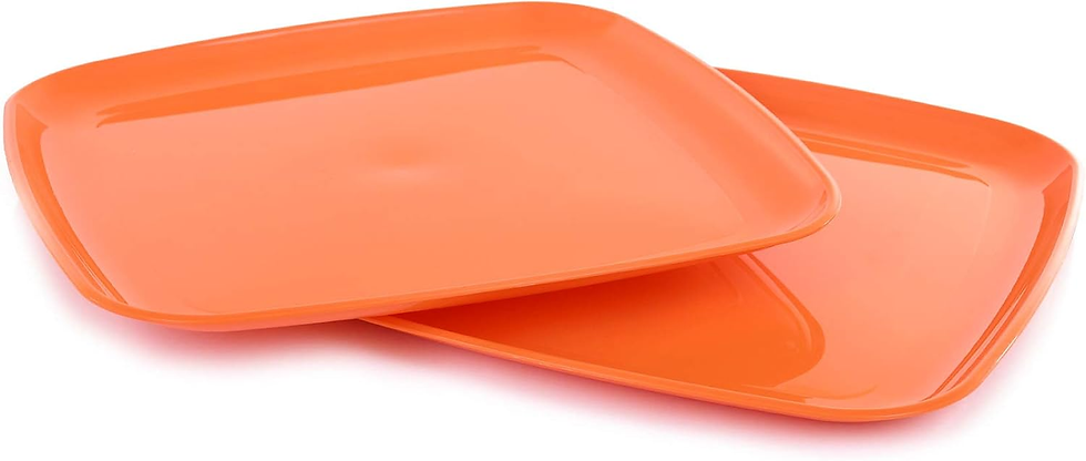 reuseable plastic plate