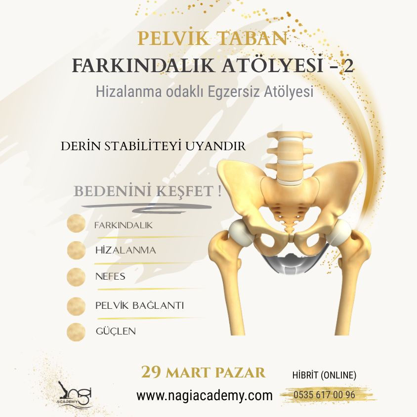 Pelvik Taban Farkındalık Atölyesi  - 2