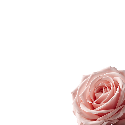 Untitled-2 (31).png