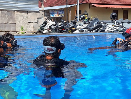 From Coral Planters to Advanced Divers: Empowering Nusa Penida’s Ocean Guardians