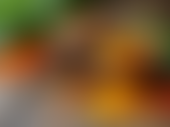 Harnessing Ayurveda: Holistic Health Practices Explained