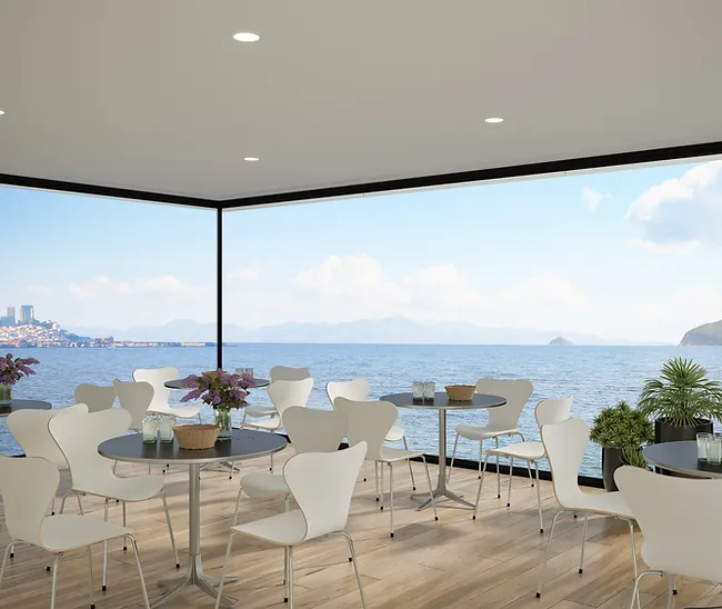 Fenex Flood windows.webp