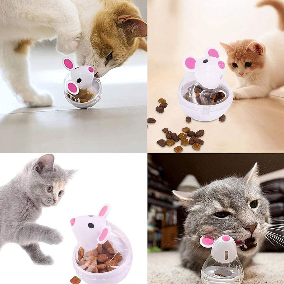 Thumbnail: Interactive Cat Treat Dispenser & Tumbler Toy