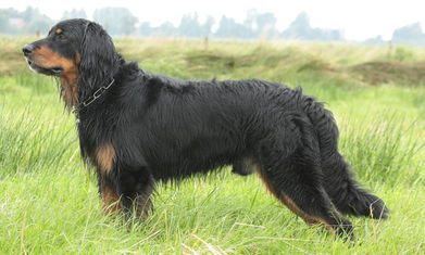 Vater von Ilvy von der Dünnebecke