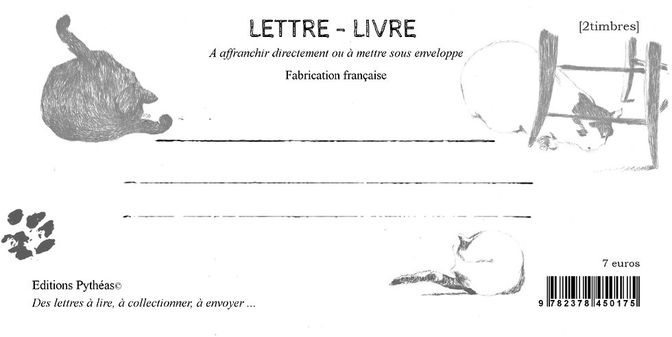 Miniature : Lettre à un jeune chat