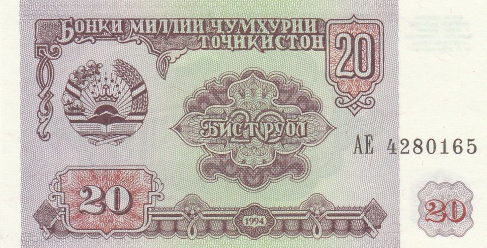 20 Rubles (Tajikistan, 1994)-Observe