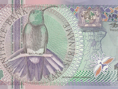 Birdwatching, The Green-Throated Mango: 10 Gulden (Suriname, 2000)-Reference