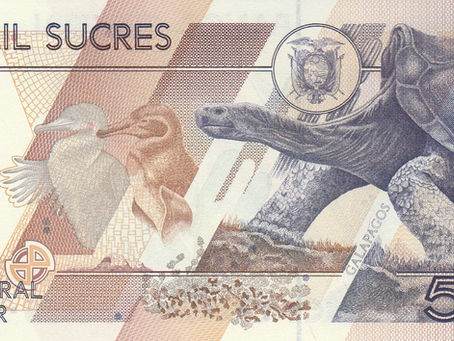 The Author And The Tortoise: 5000 Sucres (Ecuador, 1999)-Reference
