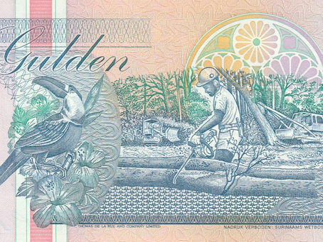 Logging, A Threat To Biodiversity: 5 Gulden (Suriname, 1996)-Article