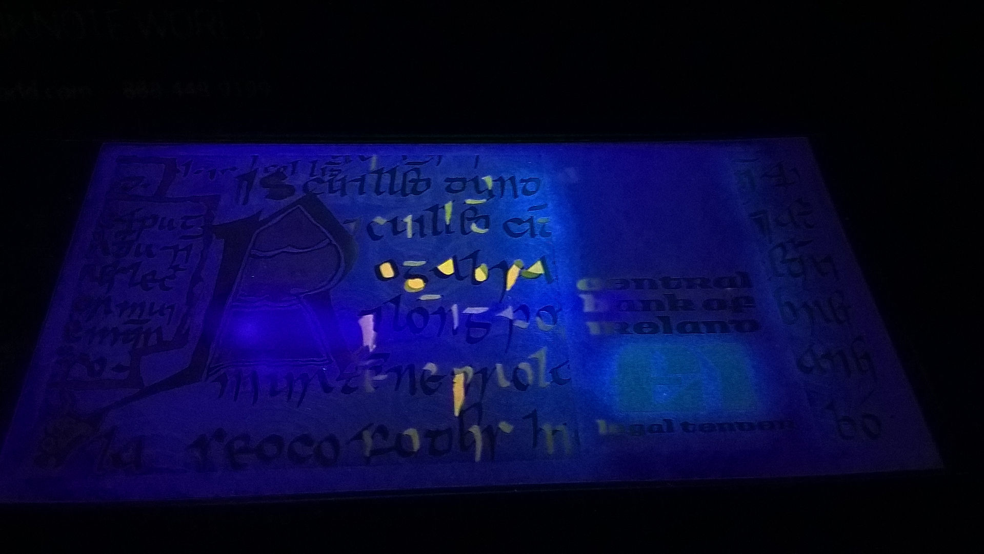 UV Image: 1 Pound (Ireland, 1989)-Reverse