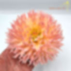 Thumbnail: Hapet Champagne
