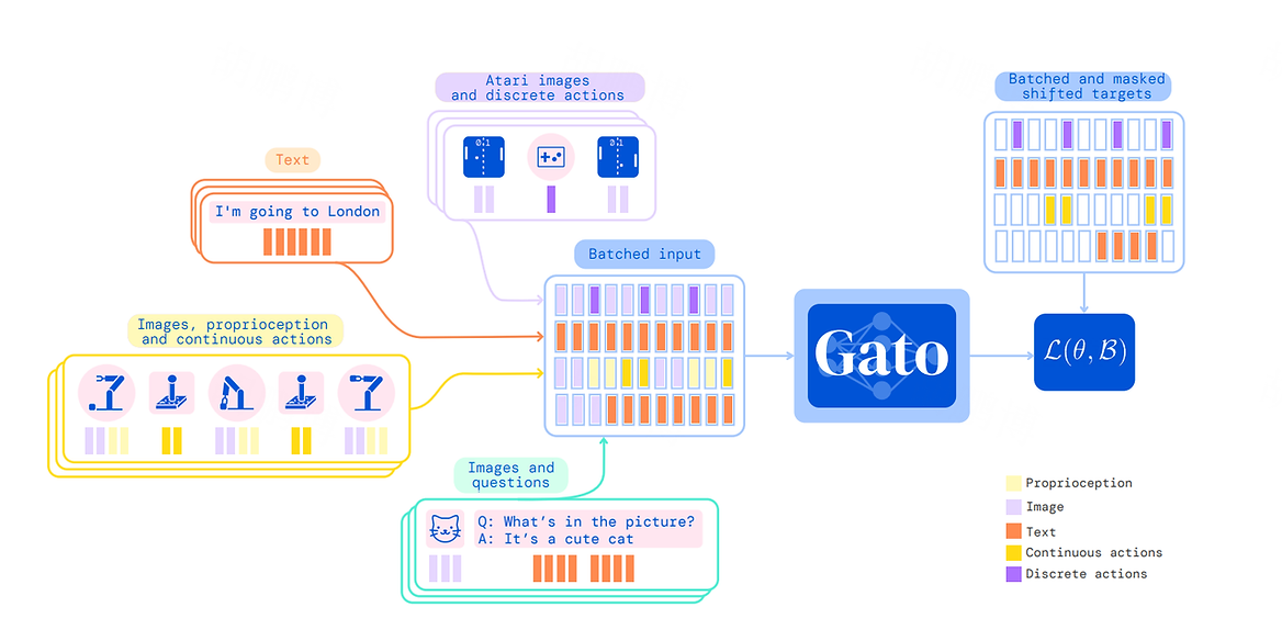 The picture shows how the Gato Model is trained