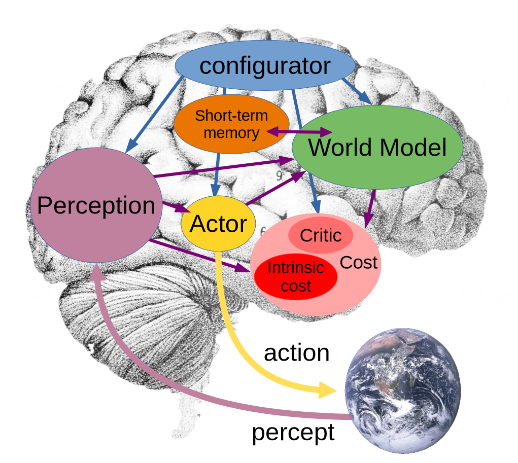 the picture show the Lecun's proposed Autonomous AI Architecture