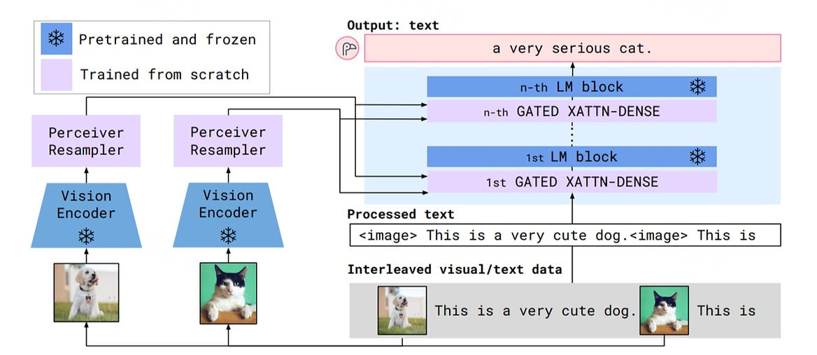A diagram shows how does the Flamingo model work