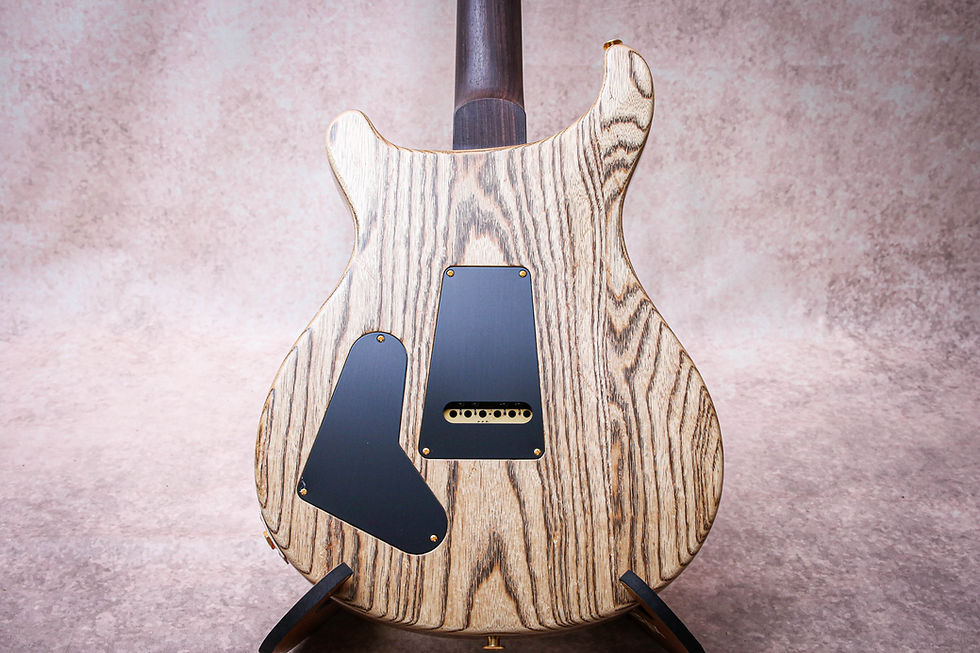 Thumbnail: PRS USA Paul Reed Smith Special 22 Semi-Hollow Wood Library 10-Top Eriza Verde