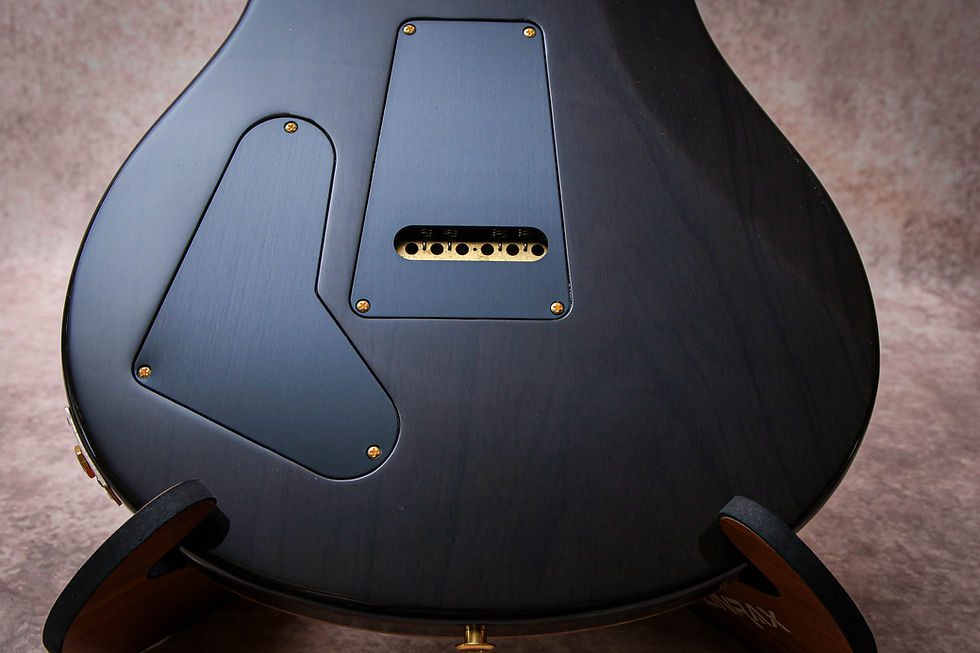 Thumbnail: PRS USA Paul Reed Smith Special 22 Semi-Hollow Wood Library 10-top "Jade Green"
