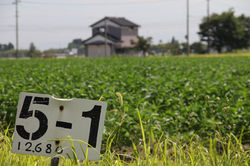 布目沢営農　風景　②