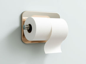 Where Do You Measure a Toilet Paper Dispenser? (The Answer Might Surprise You)