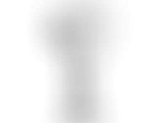 How Literal Should You Be With the CBC and ADA Standards?