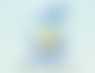 Oväntade beskedet - två nya Pokémons från ägg