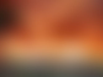 Communiqué - Incendies en Gironde : appel aux dons 