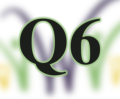 6.png