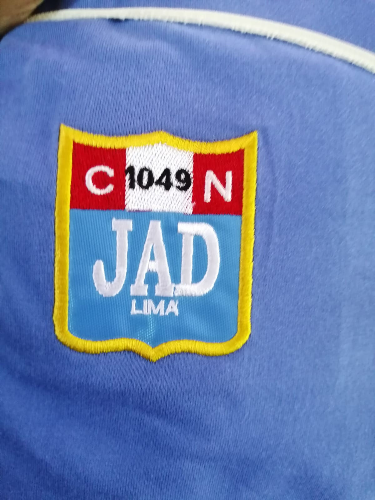 INSIGNIA DE COLEGIO - BORDADO