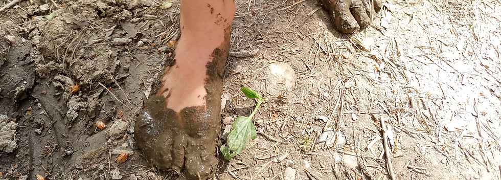 Bei den WILDNISKINDERN treffen sich Kinder und Jugendliche regelmäßig draußen in der Natur, um gemeinsam zu lernen, zu spielen, die Welt mit allen Sinnen zu erfahren und um echte Abenteuer zu erleben.