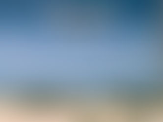 Publication coming: Gay Soldiers book