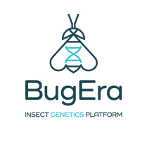 Bugera
