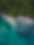 nature - Copy.jpg
