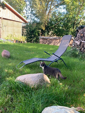 7A9DFDCF-3A1C-494B-96E5-0D8F40CAA82A_1_1