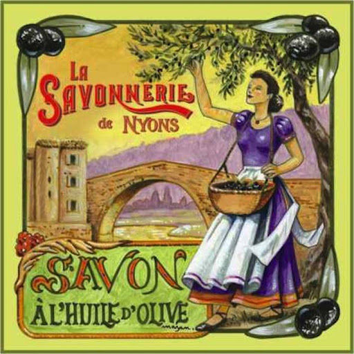 Ferieboliger i Provence: 2 ferieboliger i olivenbyen Nyons