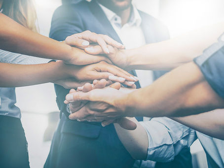 Meet Our New Board Members: A Closer Look