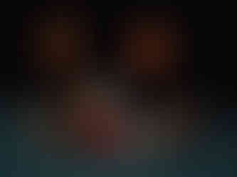 2008_porquetenhoestaforma_2