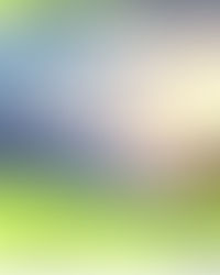 Today's Brief 17/09/2025