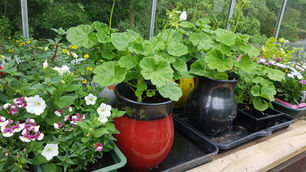 Winter, Time to Plan Your Garden