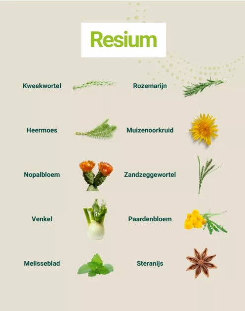 Thumbnail: Overzicht van de tien kruiden en planten in het Resium supplement met bijbehorende illustraties.
