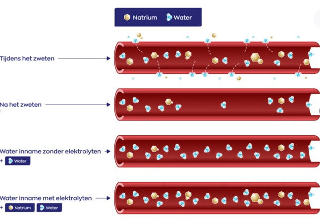 Thumbnail: Vier rode balken met witte iconen die verschillende gezondheidsvoordelen en toepassingen van elektrolyten symboliseren.
