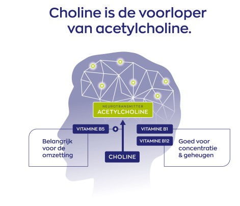 Thumbnail: Choline Complex