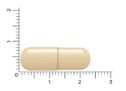 Thumbnail: Beige, langwerpige capsule van ruim 2 centimeter lang liggend voor een liniaal om de grootte aan te geven.