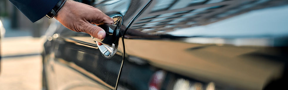 Raleigh Ceramic Coating by Elite Window Tintz.jpeg