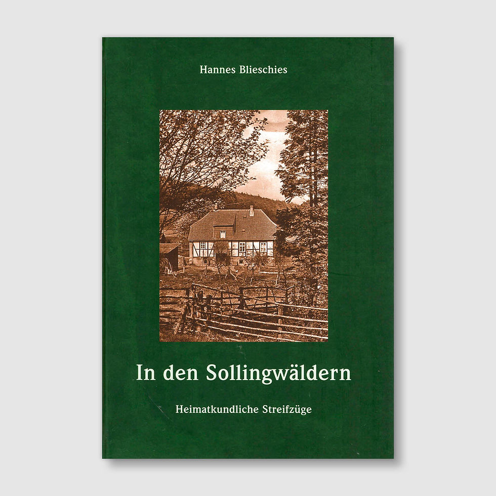 In den Sollingwäldern