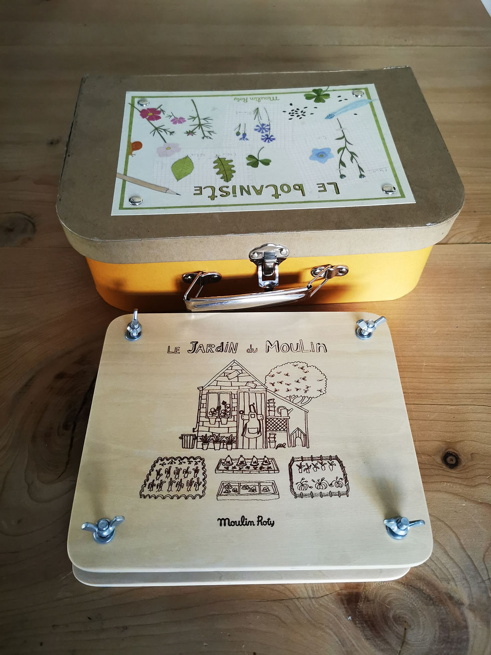 Miniature : Valise du botaniste Moulin Roty