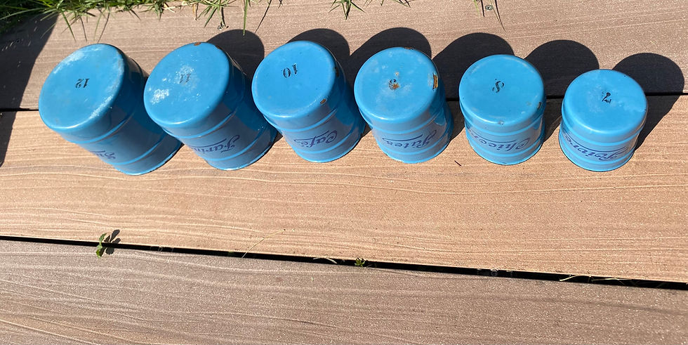 Miniature : Lot de 6 pots à épices en émail bleu 