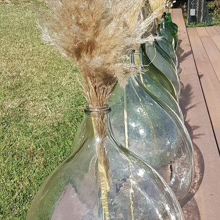 L'histoire de la Dame Jeanne 