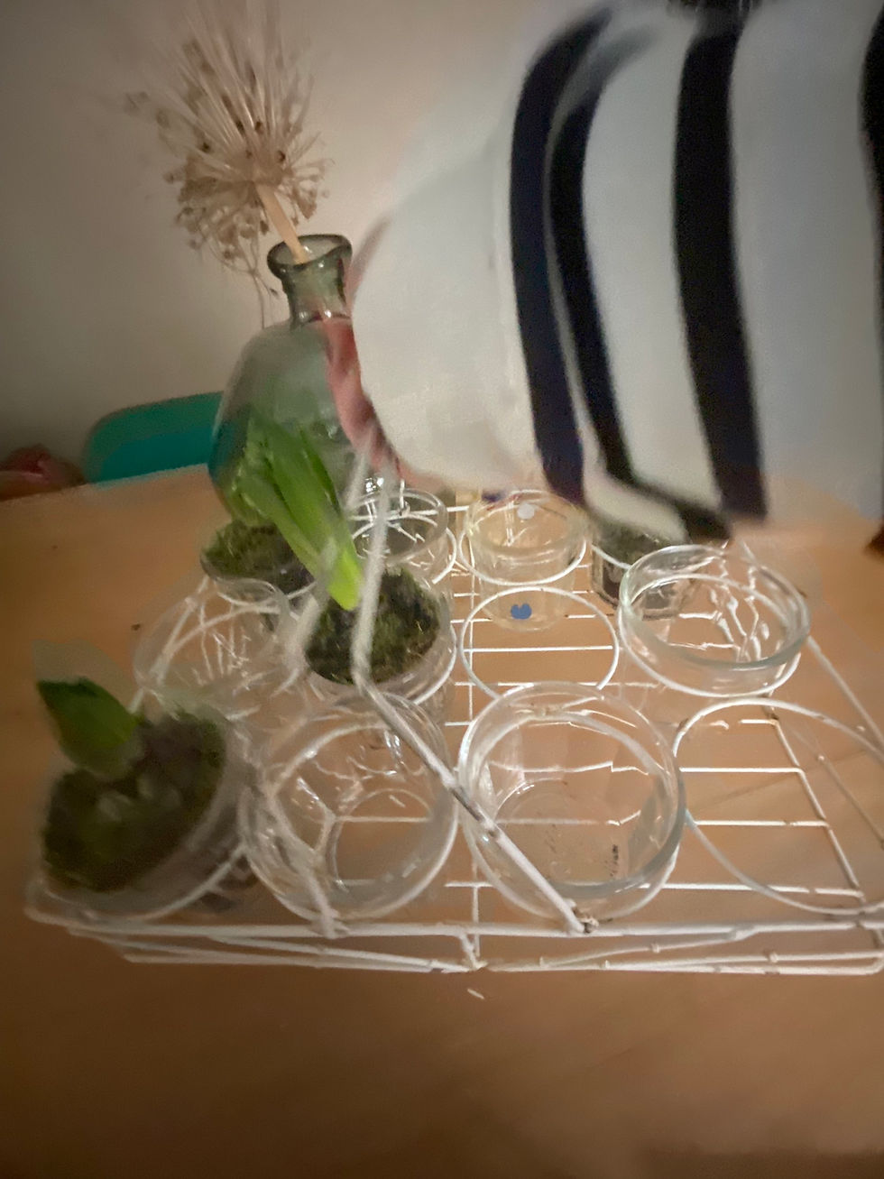 Miniature : Présentoir en fer blanc 